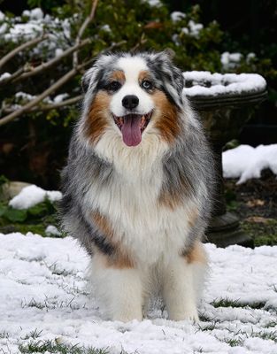 Wallee_4960_1000p.jpg