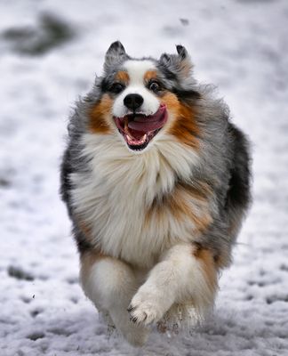 Wallee_5052_1000p.jpg
