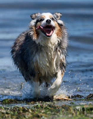 Wallee_7050_1000p.jpg