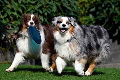 Wallee_Darby_0980_1000p.jpg