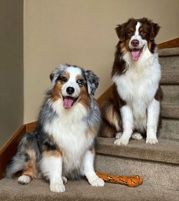 Wallee_Darby_Stairs_1000p.jpg