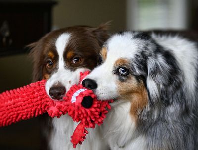 Darby_Wallee_04132022_3314_72pi.jpg