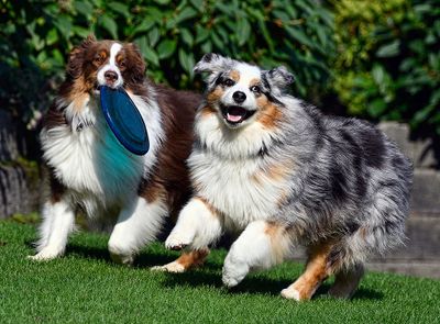 Darby_Wallee_0981_1000p.jpg