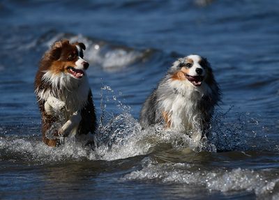 Darby_Wallee_4318_72pi.jpg