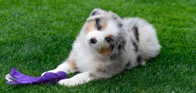 Wallee_2489_1000.jpg