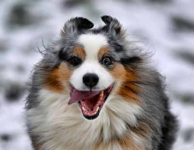 Wallee_5023_1000p.jpg
