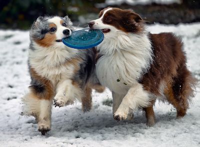 Wallee_Darby_4496_1000p.jpg