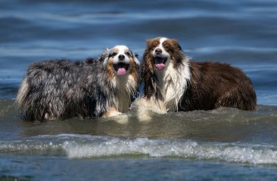 Wallee_Darby_7094_07022023_1000p.jpg