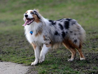 Wallee_FEB09_72_10.jpg