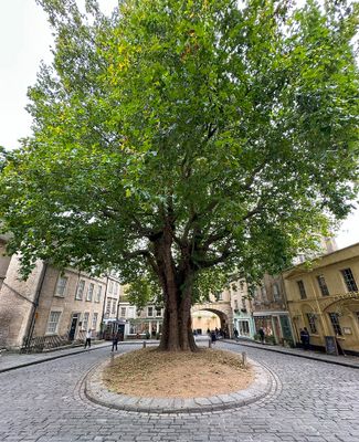Europe_2024_1000p_219.jpg