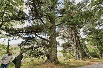 _Ireland_20241009_7126_1000p.jpg