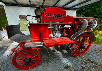 _Ireland_20241009_7130_1000p.jpg