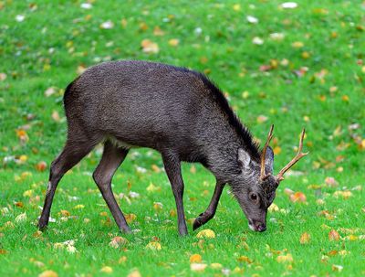 Europe_Z9_2024_ 1000p_165.jpg