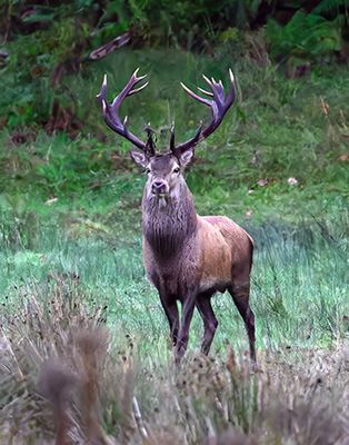 Europe_Z9_2024_ 1000p_174.jpg