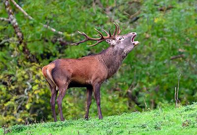 Europe_Z9_2024_ 1000p_178.jpg