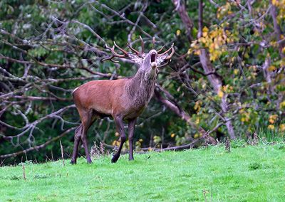 Europe_Z9_2024_ 1000p_183.jpg