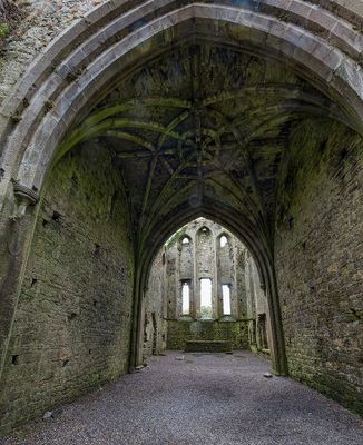 Ireland_20241007_6416_1000p.jpg