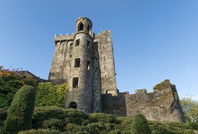Ireland_20241007_6457_1000p.jpg