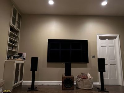 Family Room Dynaudio can lights.jpg