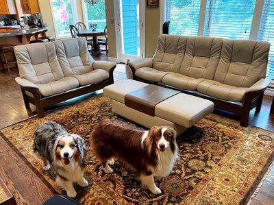 Stressless_Couch_Loveseat_1_1000p.jpg