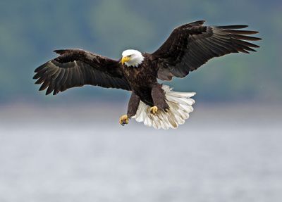 Eagles_05162025_006.jpg