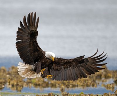 Eagles_05162025_015.jpg