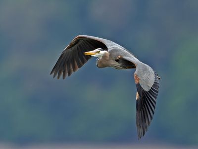 Eagles_05162025_007.jpg