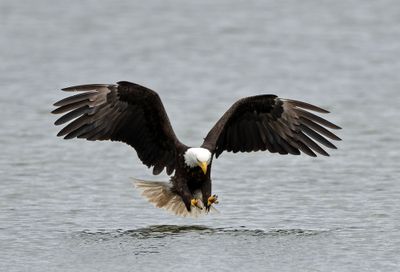 Eagles_05162025_020.jpg