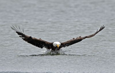 Eagles_05162025_021.jpg