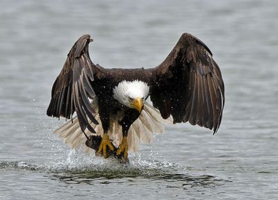 Eagles_05162025_024.jpg