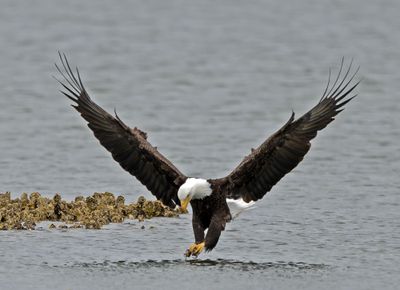 Eagles_05162025_026.jpg