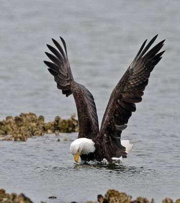 Eagles_05162025_028.jpg