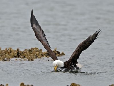 Eagles_05162025_029.jpg