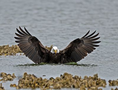 Eagles_05162025_030.jpg