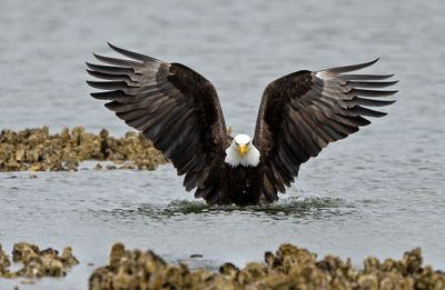 Eagles_05162025_031.jpg