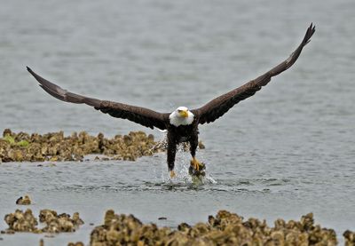 Eagles_05162025_034.jpg