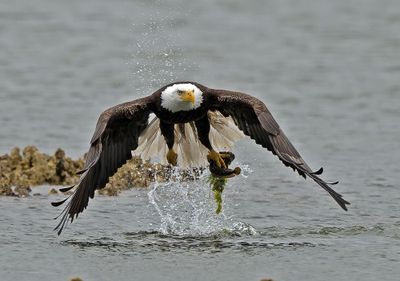 Eagles_05162025_035.jpg