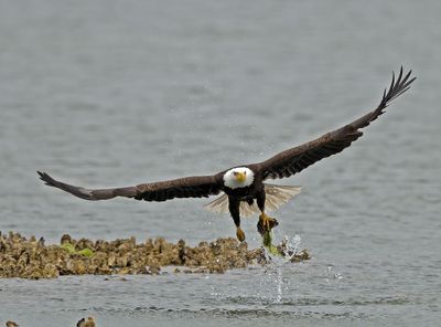 Eagles_05162025_036.jpg