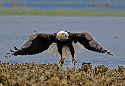 Eagles_05162025_039.jpg