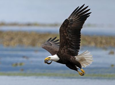 Eagles_05162025_041.jpg