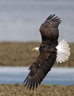 Eagles_05162025_042.jpg