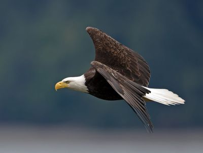 Eagles_05162025_043.jpg