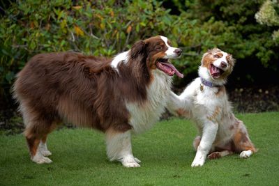 Darby_Pattern_GRH_8561_20250904_1600p.jpg