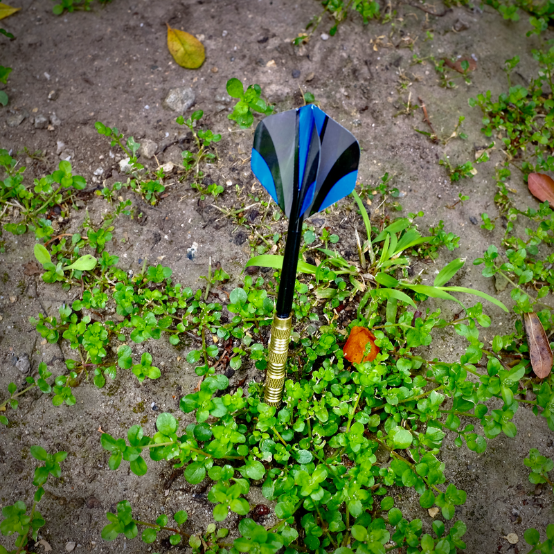Dart