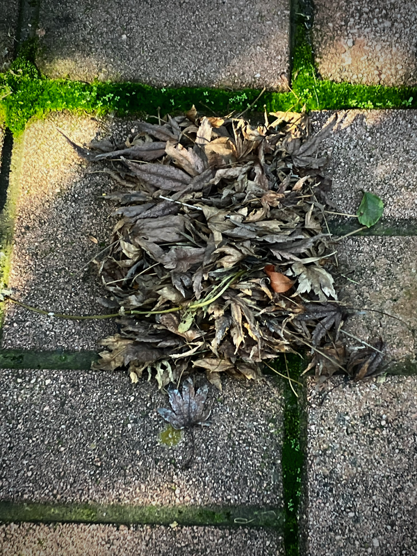 A Tidy Pile