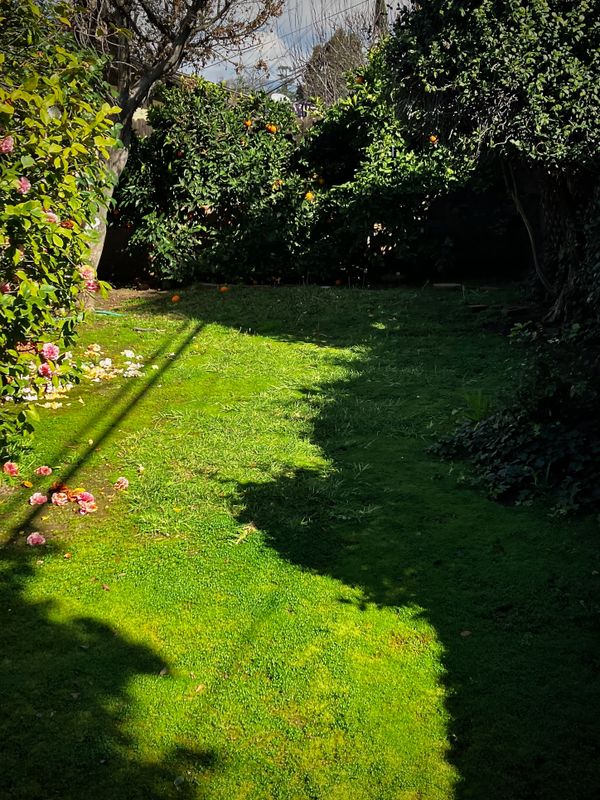 How Green Is My Valley