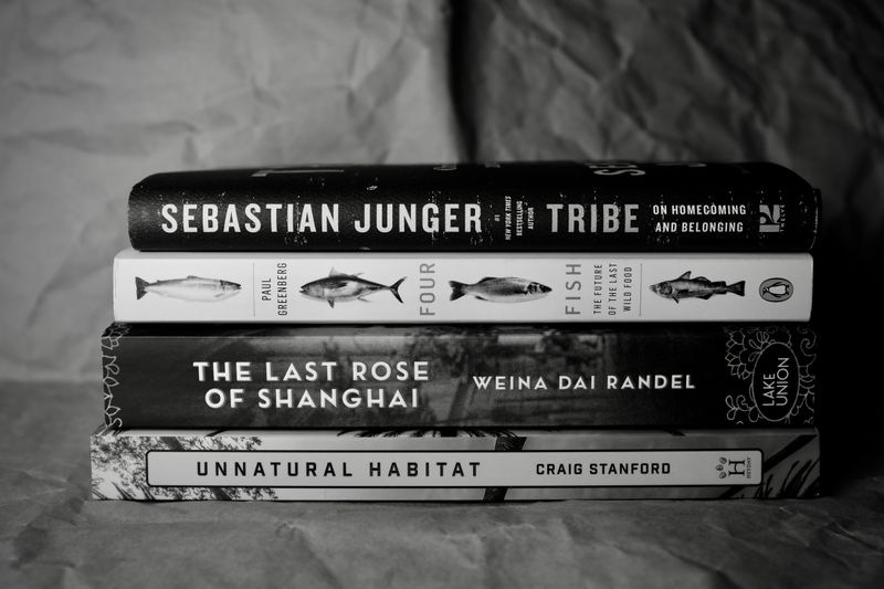 June 2024 Books.jpeg