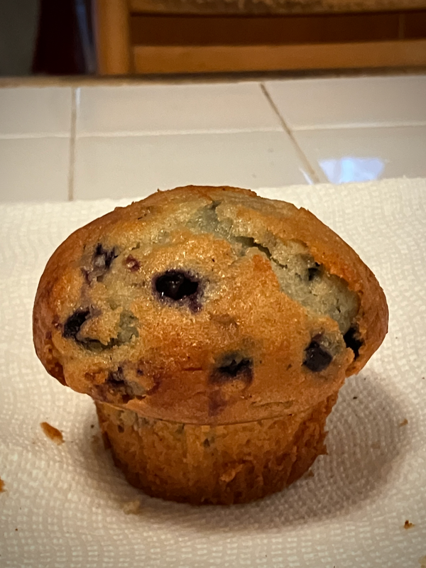 Blueberry Muffin