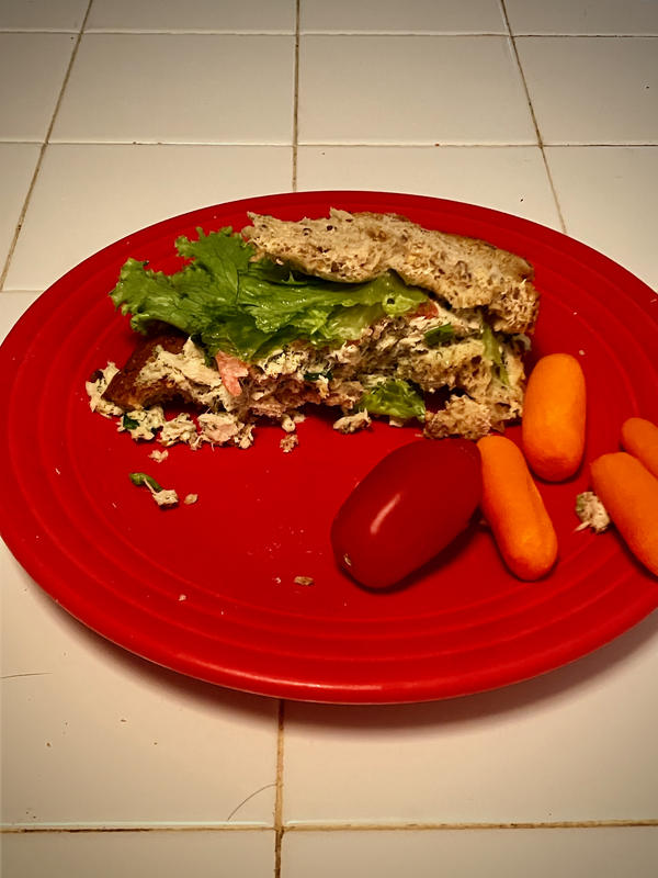Half Devoured Sandwich