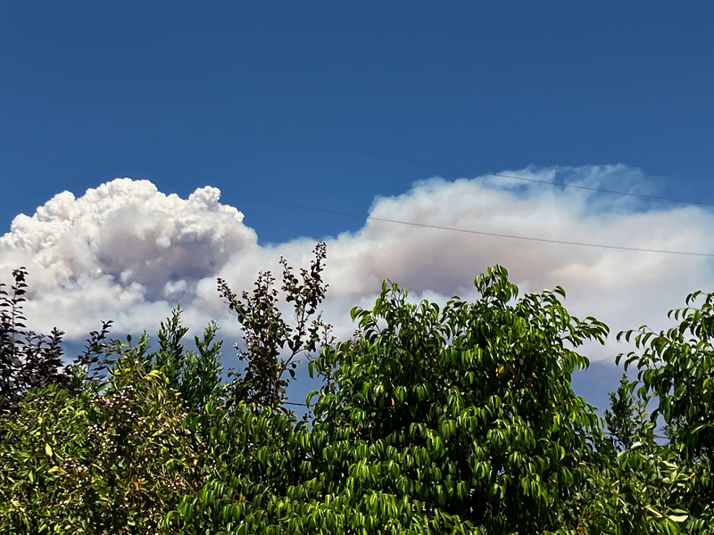 The Bridge Fire